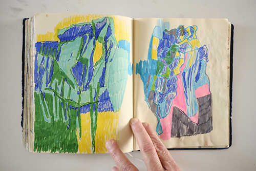 cuadernos | carnet-2018 | &copy; patrice de Santa Coloma