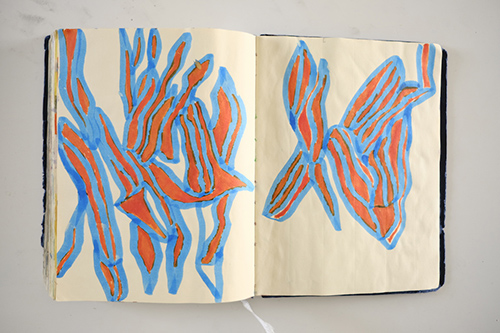 cuadernos | carnet-2018 | &copy; patrice de Santa Coloma