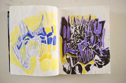 cuadernos | carnet-2018 | &copy; patrice de Santa Coloma