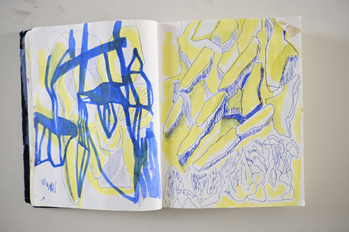 cuadernos | carnet-2018 | &copy; patrice de Santa Coloma