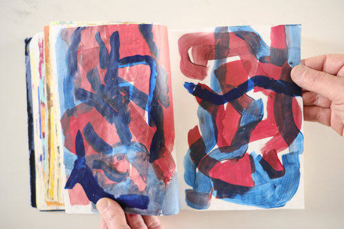 cuadernos | carnet-2018 | &copy; patrice de Santa Coloma