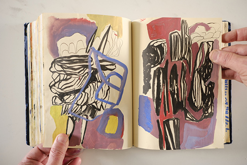 cuadernos | carnet-2018 | &copy; patrice de Santa Coloma