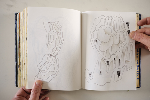cuadernos | carnet-2018 | &copy; patrice de Santa Coloma