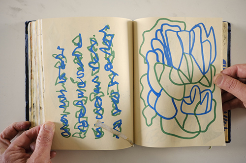 cuadernos | carnet-2018 | &copy; patrice de Santa Coloma