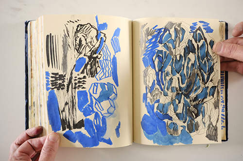 cuadernos | carnet-2018 | &copy; patrice de Santa Coloma