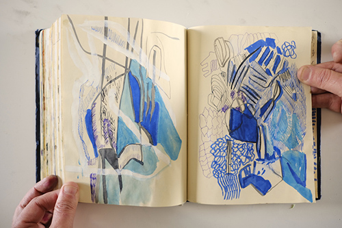 cuadernos | carnet-2018 | &copy; patrice de Santa Coloma