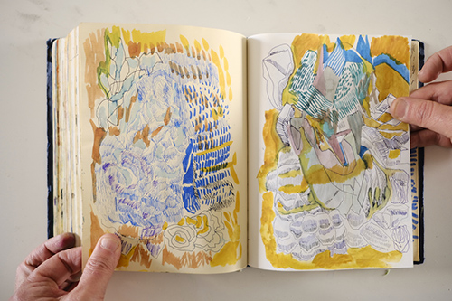 cuadernos | carnet-2018 | &copy; patrice de Santa Coloma