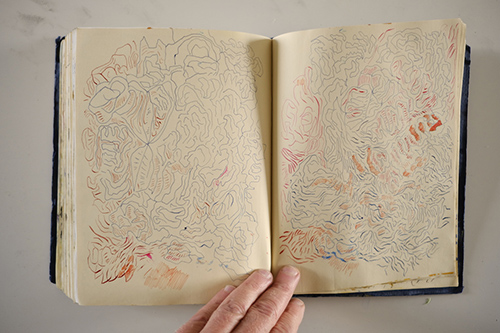 cuadernos | carnet-2018 | &copy; patrice de Santa Coloma