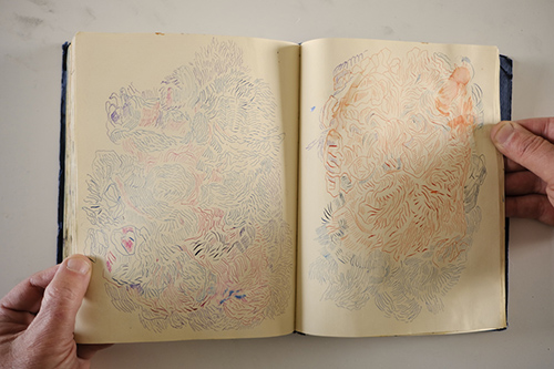 cuadernos | carnet-2018 | &copy; patrice de Santa Coloma