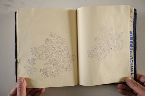 cuadernos | carnet-2018 | &copy; patrice de Santa Coloma