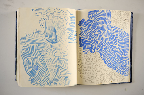 cuadernos | carnet-2018 | &copy; patrice de Santa Coloma