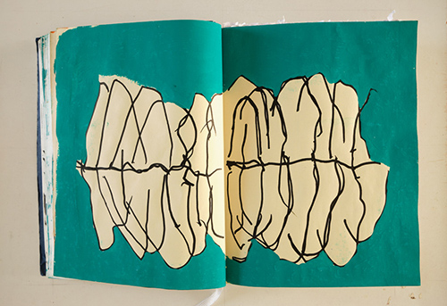 carnets | carnet-2020 | &copy; patrice de Santa Coloma