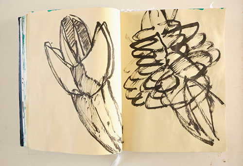 carnets | carnet-2020 | &copy; patrice de Santa Coloma