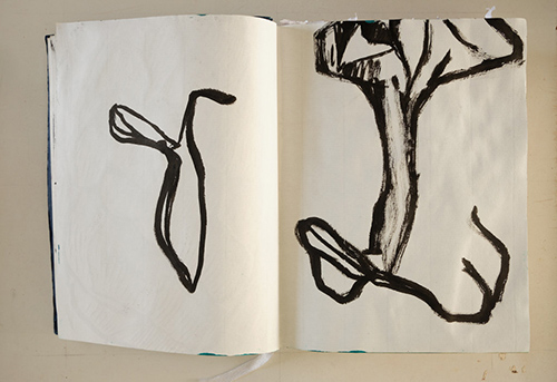 carnets | carnet-2020 | &copy; patrice de Santa Coloma