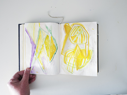 carnets | carnet-2025 | &copy; patrice de Santa Coloma