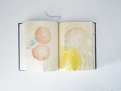 carnets | carnet-2025 | &copy; patrice de Santa Coloma