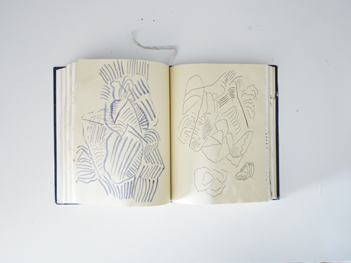 carnets | carnet-2025 | &copy; patrice de Santa Coloma