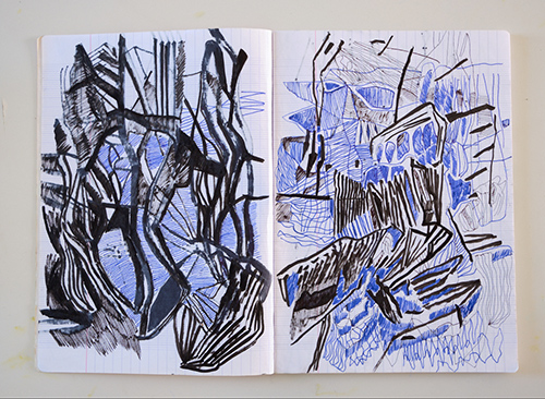 cuadernos | carnet-ida-premsel | &copy; patrice de Santa Coloma