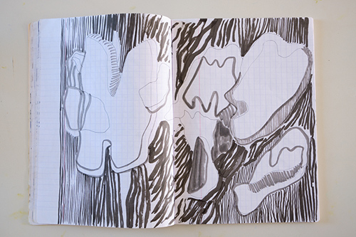 cuadernos | carnet-ida-premsel | &copy; patrice de Santa Coloma