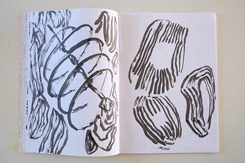 cuadernos | carnet-ida-premsel | &copy; patrice de Santa Coloma