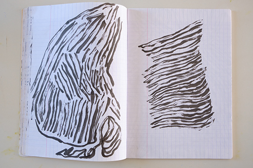 cuadernos | carnet-ida-premsel | &copy; patrice de Santa Coloma