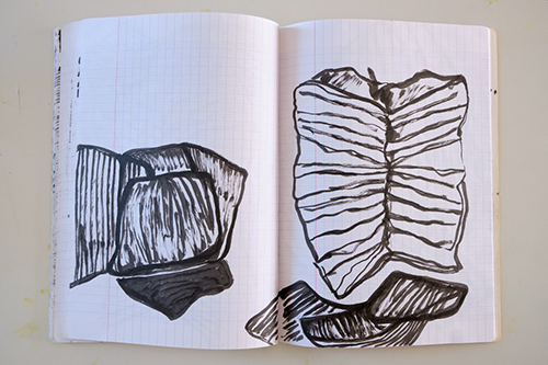 cuadernos | carnet-ida-premsel | &copy; patrice de Santa Coloma