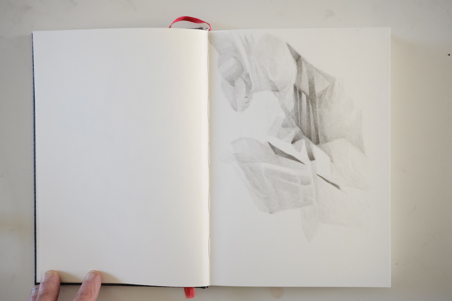 sketchbooks | carnet-proteines | © patrice de Santa Coloma