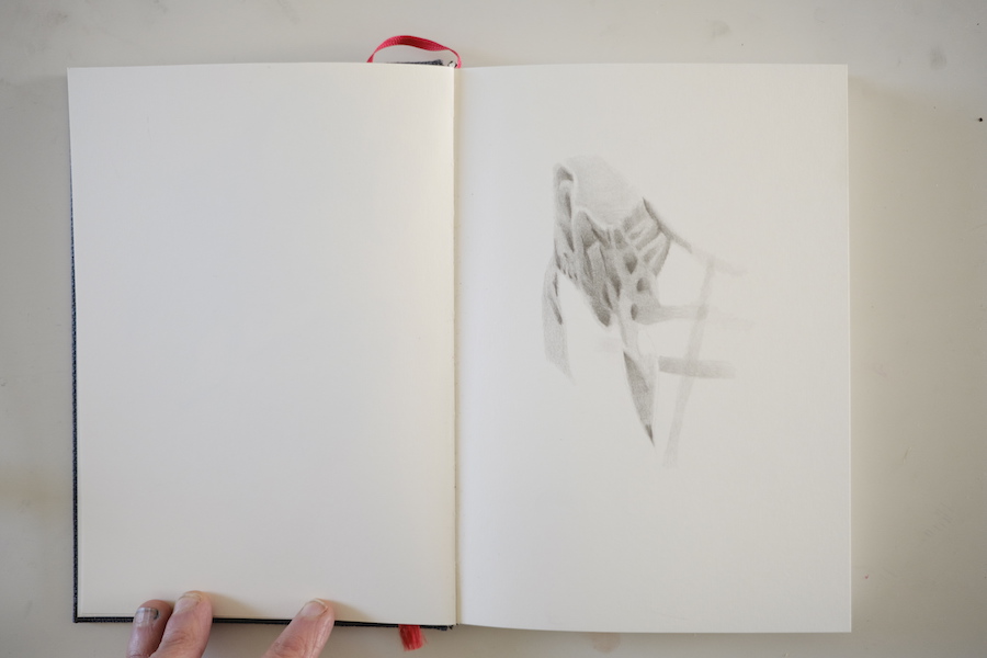 sketchbooks | carnet-proteines | © patrice de Santa Coloma