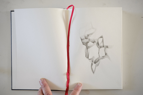 cuadernos | carnet-proteines | &copy; patrice de Santa Coloma