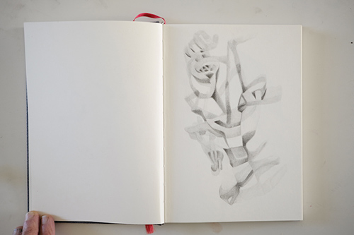 cuadernos | carnet-proteines | &copy; patrice de Santa Coloma