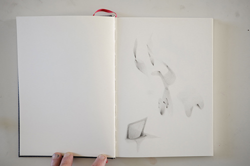 cuadernos | carnet-proteines | &copy; patrice de Santa Coloma