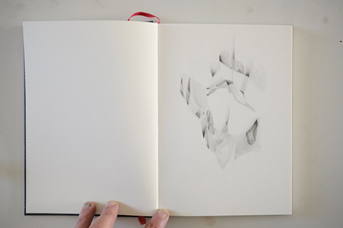 cuadernos | carnet-proteines | &copy; patrice de Santa Coloma