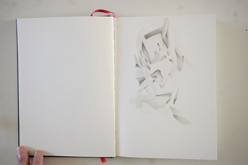 cuadernos | carnet-proteines | &copy; patrice de Santa Coloma