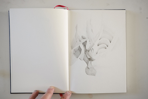 cuadernos | carnet-proteines | &copy; patrice de Santa Coloma