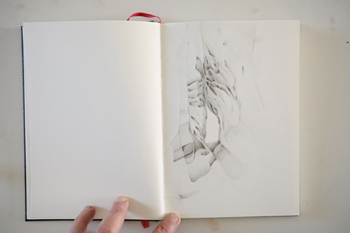 cuadernos | carnet-proteines | &copy; patrice de Santa Coloma