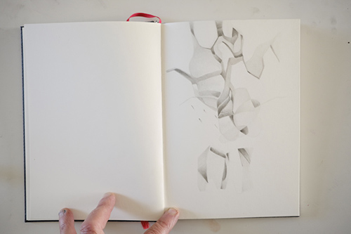 cuadernos | carnet-proteines | &copy; patrice de Santa Coloma