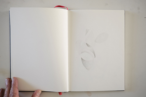 cuadernos | carnet-proteines | &copy; patrice de Santa Coloma
