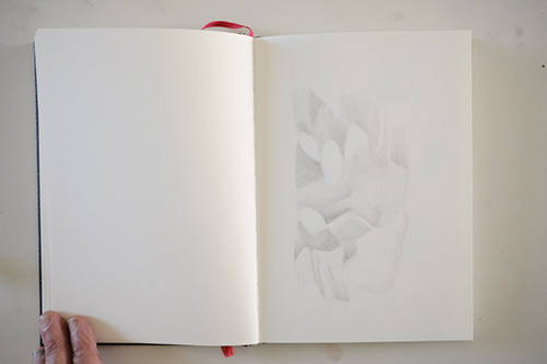 cuadernos | carnet-proteines | &copy; patrice de Santa Coloma