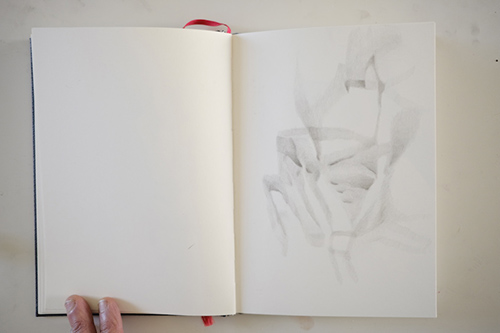 cuadernos | carnet-proteines | &copy; patrice de Santa Coloma
