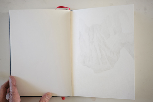cuadernos | carnet-proteines | &copy; patrice de Santa Coloma