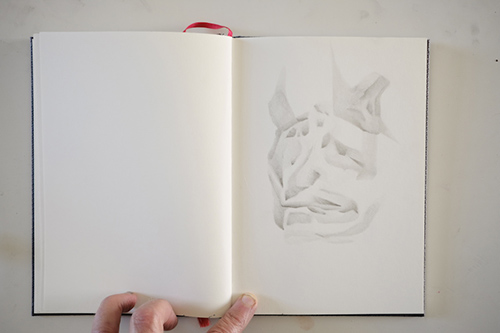cuadernos | carnet-proteines | &copy; patrice de Santa Coloma