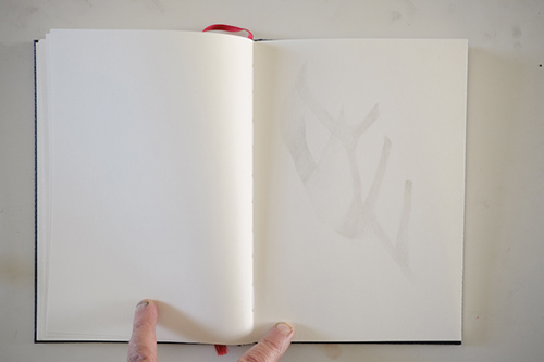 cuadernos | carnet-proteines | &copy; patrice de Santa Coloma