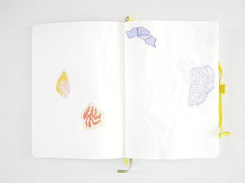 dibujos | cristae | &copy; patrice de Santa Coloma
