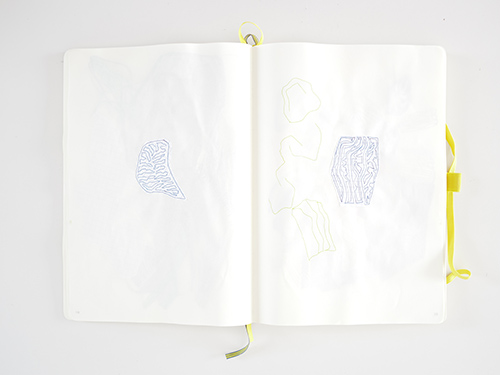 dibujos | cristae | &copy; patrice de Santa Coloma