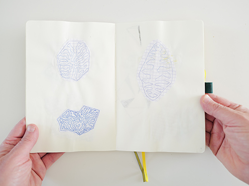 dibujos | cristae | &copy; patrice de Santa Coloma
