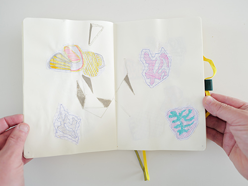 dibujos | cristae | &copy; patrice de Santa Coloma