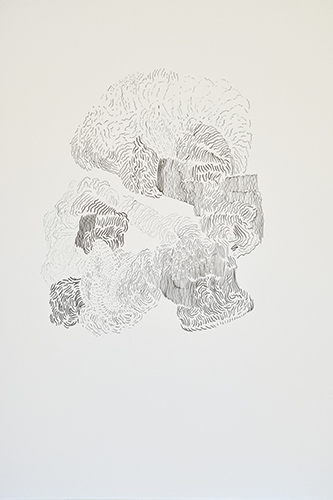 drawings | scatter-like-a-flock-of-birds | &copy; patrice de Santa Coloma
