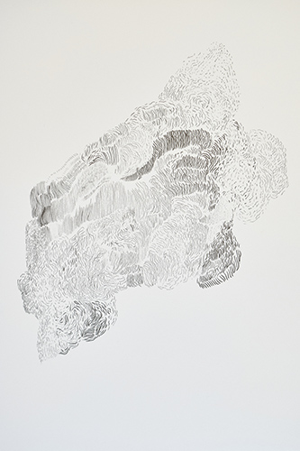 drawings | scatter-like-a-flock-of-birds | &copy; patrice de Santa Coloma