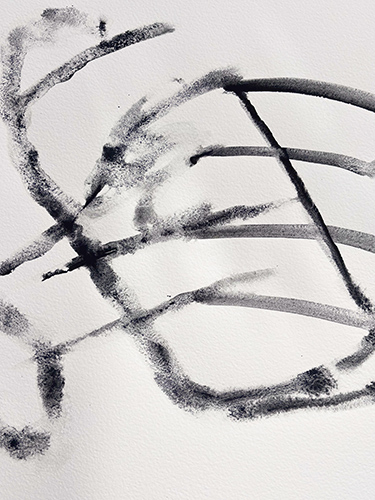 expositions | cosmos | &copy; patrice de Santa Coloma