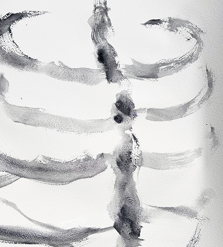 expositions | cosmos | &copy; patrice de Santa Coloma